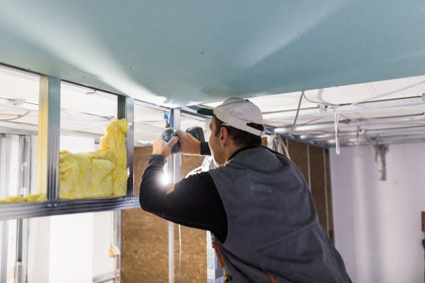 Best Spray Foam Insulation  in Aberdeen, ID