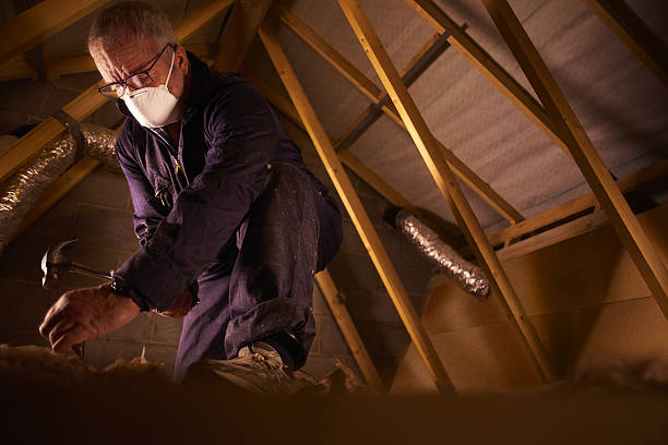 Best Blown-in Insulation  in Aberdeen, ID