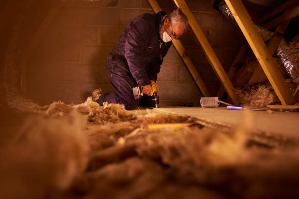 Best Attic Insulation Installation  in Aberdeen, ID